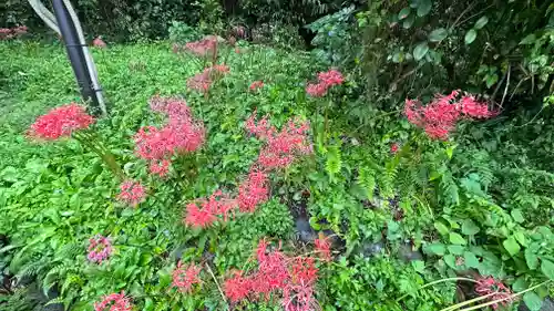熊野神社(宮城県)