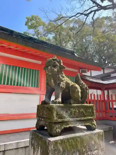 住吉神社の狛犬