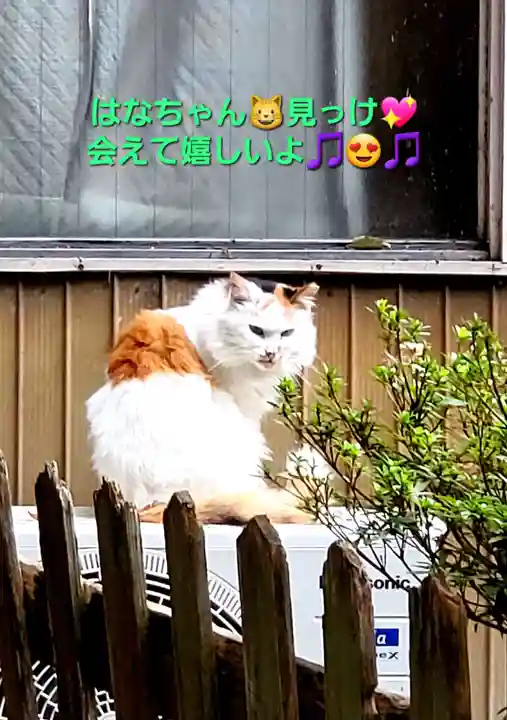 阿邪訶根神社(福島県)
