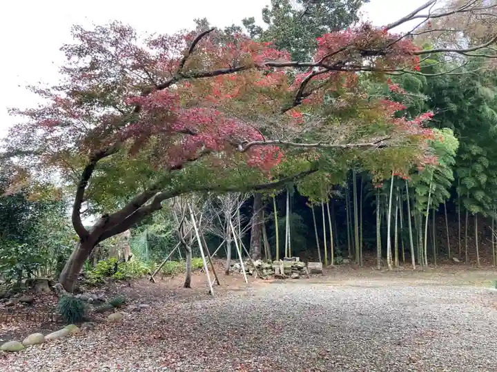 妙伝寺(妙傳寺)(神奈川県)