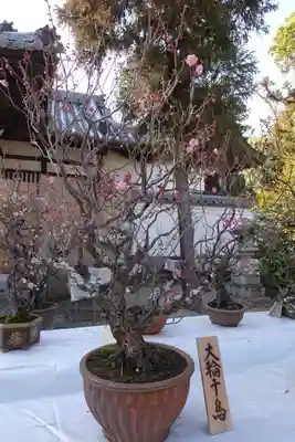 菅原天満宮（菅原神社）のその他建物