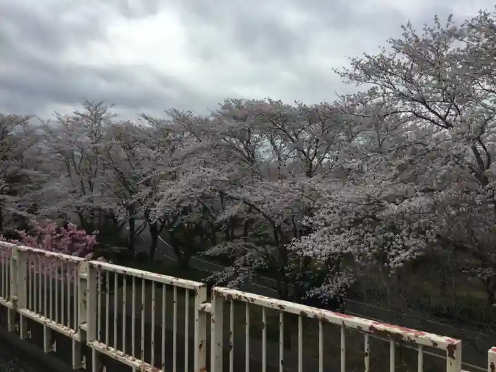 水神神社の自然