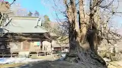 正法寺(埼玉県)