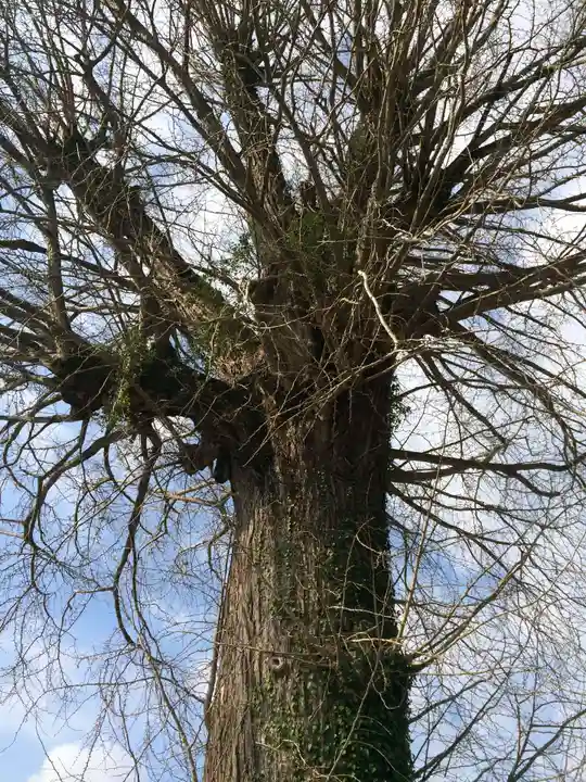 美奈宜神社(福岡県)
