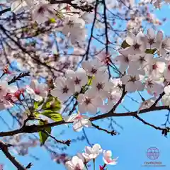 立志神社(滋賀県)