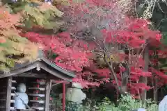 本土寺(千葉県)