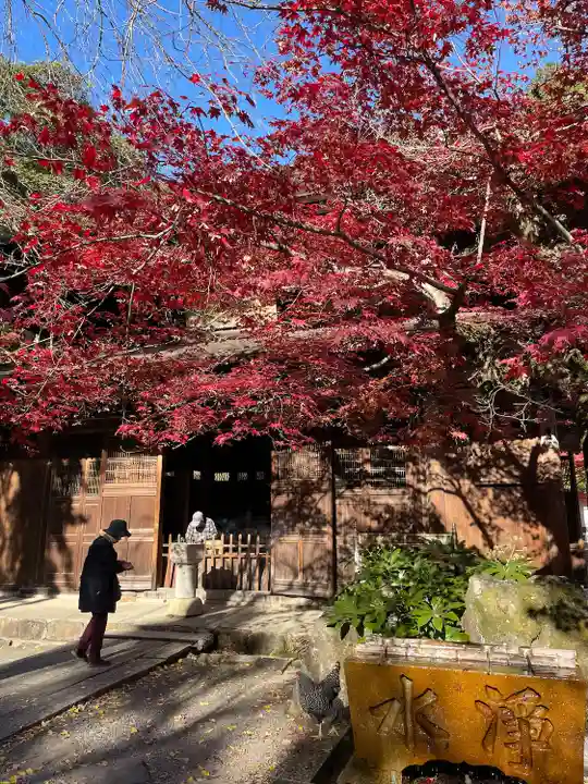 定光寺(愛知県)