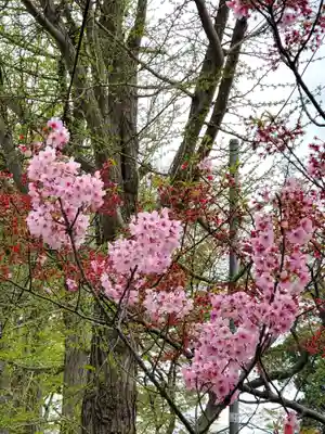 阿邪訶根神社(福島県)