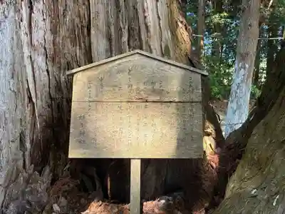 蛭子神社(徳島県)