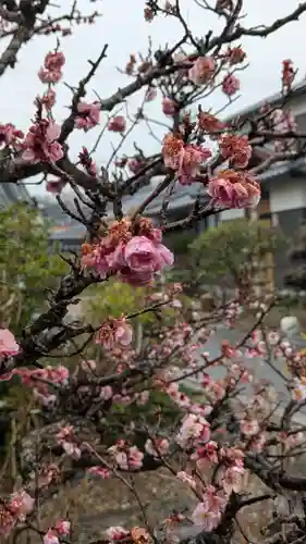 順應寺(滋賀県)