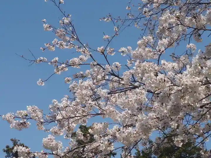 宇都母知神社(神奈川県)