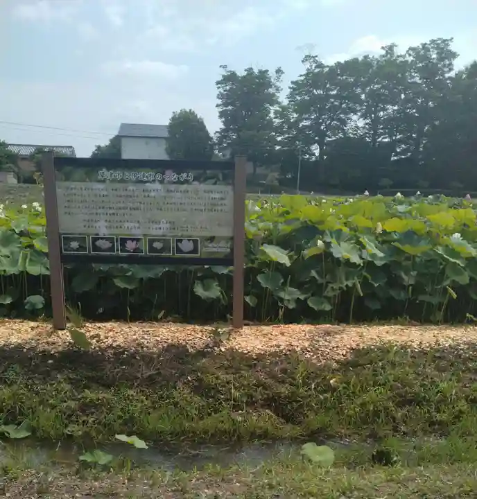 梁川八幡神社(福島県)