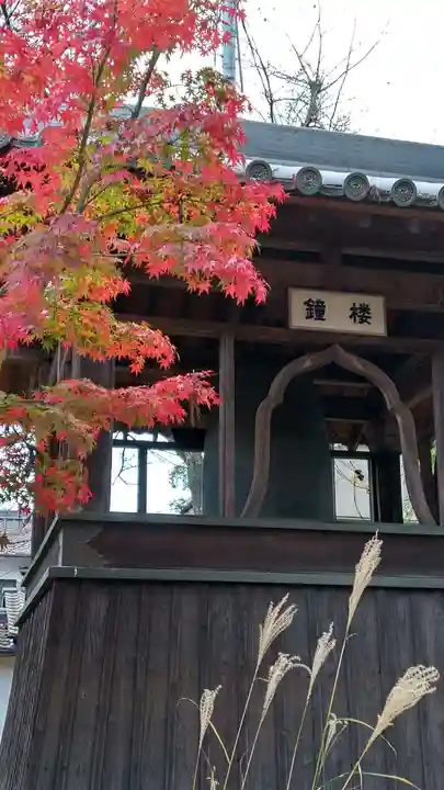 円通寺のその他建物