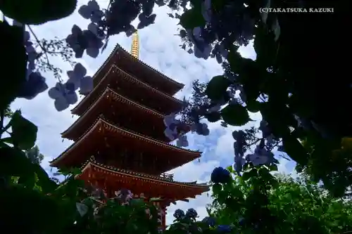 高幡不動尊　金剛寺の塔