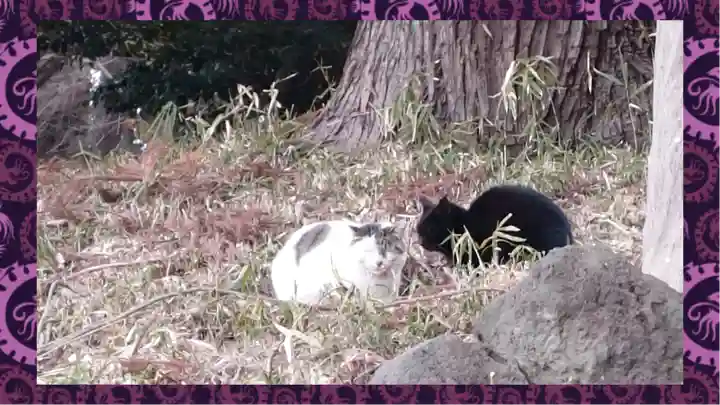 大宮住吉神社(埼玉県)