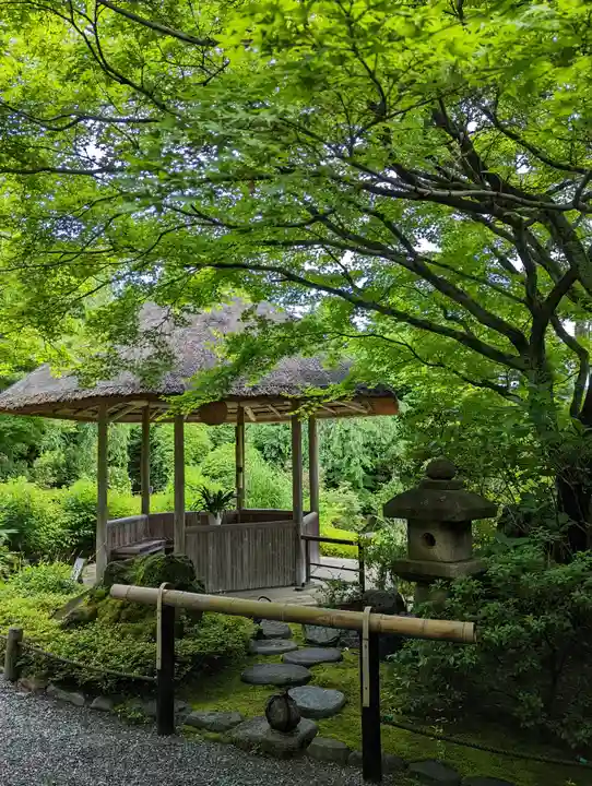 退蔵院(京都府)