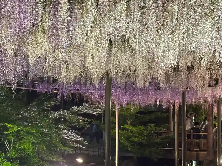 牛玉山観音寺の{uncategorized: "未分類", other: "その他", undefined: "問題あり", building: "その他建物", grave: "お墓", sacred_gate: "鳥居", guardian: "狛犬", statue: "像", buddha: "仏像", history: "歴史", nature: "自然", garden: "庭園", animal: "動物", pagoda: "塔", temizu: "手水舎", mountain_gate: "山門・神門", sanctuary: "本殿・本堂", subordinate: "末社・摂社", art: "芸術", scenery: "景色", jizo: "地蔵", ema: "絵馬", goshuin: "御朱印", omikuji: "おみくじ", items: "授与品その他", amulet: "お守り", goshuincho: "御朱印帳", eats: "食事", festival: "お祭り", votive_dance: "神楽", shichigosan: "七五三参", wedding: "結婚式", experience: "体験その他", initially: "初詣", around: "周辺", anti_infection: "感染症対策"}