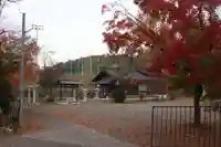 平井八幡神社(新旭町熊野本)(滋賀県)