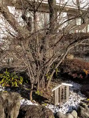 秋葉山本宮 秋葉神社 上社(静岡県)