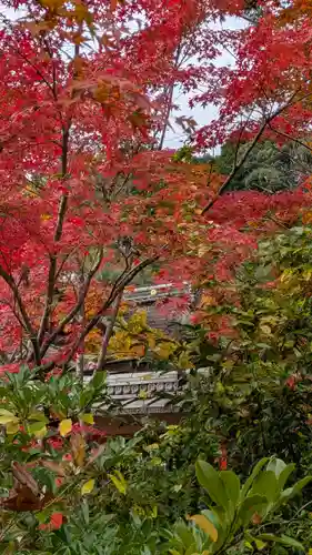 鍬山神社(京都府)