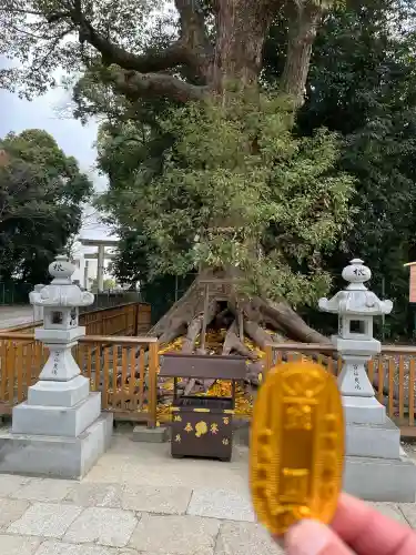 和泉國一之宮　大鳥大社の{uncategorized: "未分類", other: "その他", undefined: "問題あり", building: "その他建物", grave: "お墓", sacred_gate: "鳥居", guardian: "狛犬", statue: "像", buddha: "仏像", history: "歴史", nature: "自然", garden: "庭園", animal: "動物", pagoda: "塔", temizu: "手水舎", mountain_gate: "山門・神門", sanctuary: "本殿・本堂", subordinate: "末社・摂社", art: "芸術", scenery: "景色", jizo: "地蔵", ema: "絵馬", goshuin: "御朱印", omikuji: "おみくじ", items: "授与品その他", amulet: "お守り", goshuincho: "御朱印帳", eats: "食事", festival: "お祭り", votive_dance: "神楽", shichigosan: "七五三参", wedding: "結婚式", experience: "体験その他", initially: "初詣", around: "周辺", anti_infection: "感染症対策"}