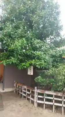 川越八幡宮のその他建物