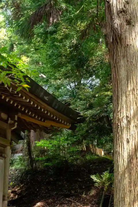 度津神社(新潟県)