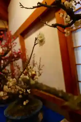 柳澤神社の芸術