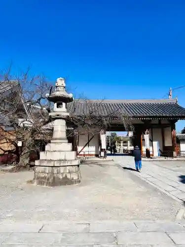 東寺（教王護国寺）(京都府)