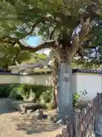 英勝寺(神奈川県)