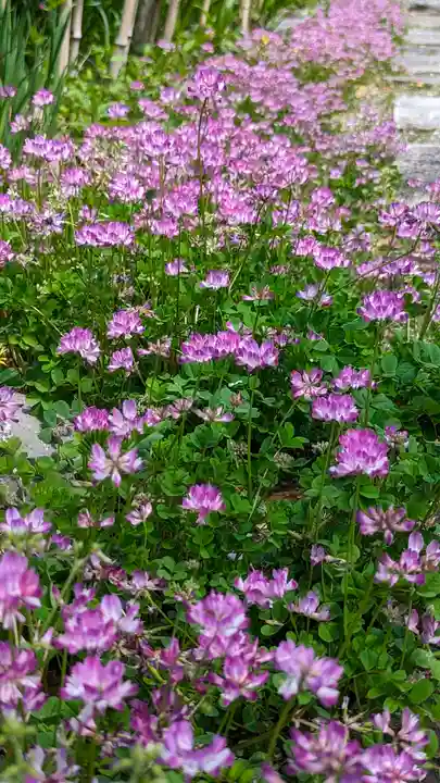 惠心院(京都府)