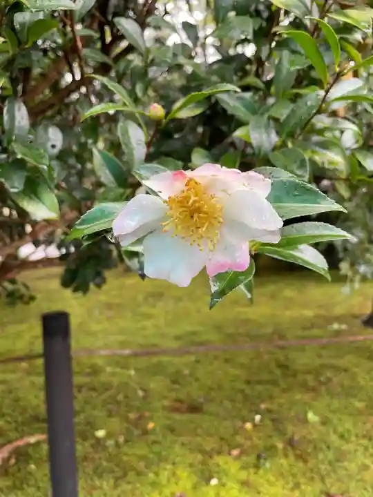 天龍寺(京都府)