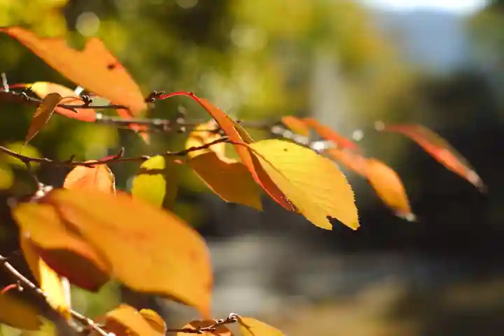 氣比神宮(福井県)