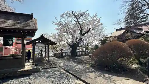 柏木神社(宮城県)