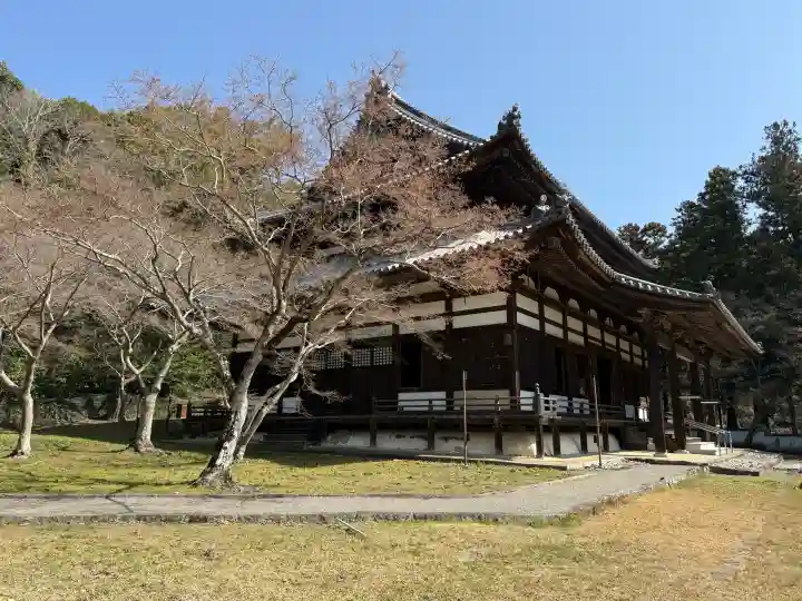 根来寺の{uncategorized: "未分類", other: "その他", undefined: "問題あり", building: "その他建物", grave: "お墓", sacred_gate: "鳥居", guardian: "狛犬", statue: "像", buddha: "仏像", history: "歴史", nature: "自然", garden: "庭園", animal: "動物", pagoda: "塔", temizu: "手水舎", mountain_gate: "山門・神門", sanctuary: "本殿・本堂", subordinate: "末社・摂社", art: "芸術", scenery: "景色", jizo: "地蔵", ema: "絵馬", goshuin: "御朱印", omikuji: "おみくじ", items: "授与品その他", amulet: "お守り", goshuincho: "御朱印帳", eats: "食事", festival: "お祭り", votive_dance: "神楽", shichigosan: "七五三参", wedding: "結婚式", experience: "体験その他", initially: "初詣", around: "周辺", anti_infection: "感染症対策"}