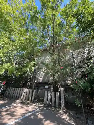 安井金比羅宮(京都府)