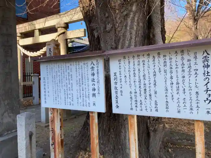 八雲神社 (通五丁目)の建物その他