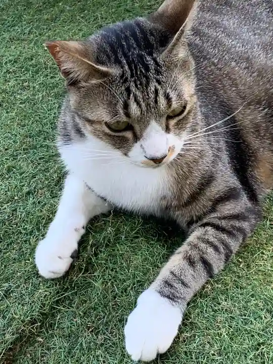 王子神社(徳島県)