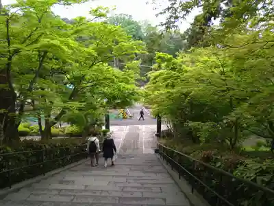 円覚寺(神奈川県)