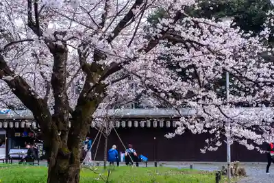 平野神社(京都府)