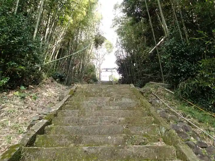 天手長男神社の自然