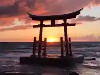 金比羅神社の鳥居