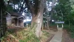 熊野神社の建物その他