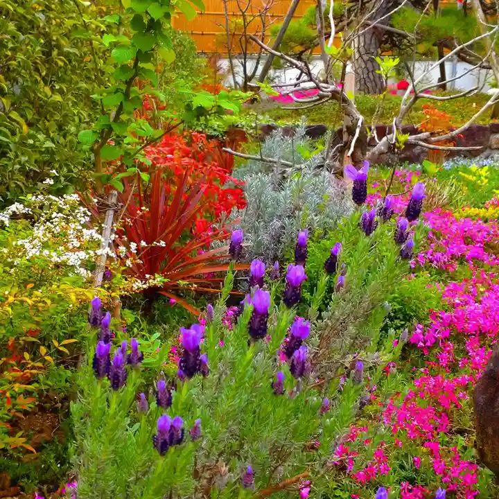 寿量山 速成寺(奈良県)