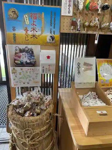 旭川神社のおみくじ