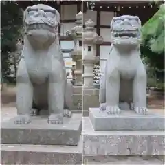 三ケ尻八幡神社の狛犬