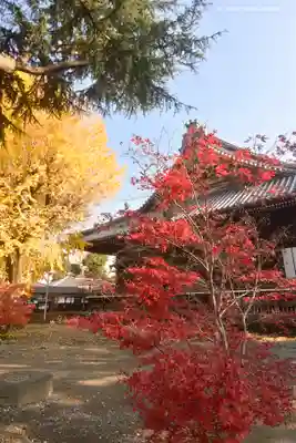 寛永寺(根本中堂)のその他建物