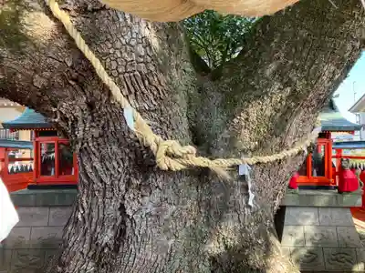 龍田神社(奈良県)