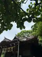 代々木八幡宮の本殿・本堂