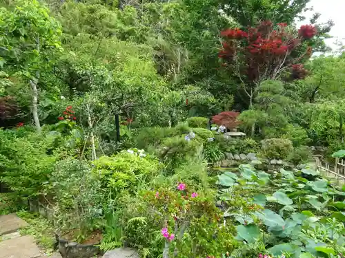 能蔵院の庭園